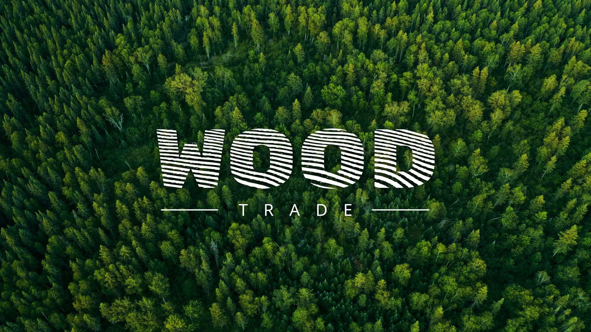 Разработка интернет-магазина компании «Wood Trade» в Устюжне